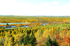 黑龙江伊春乌伊岭湿地公园