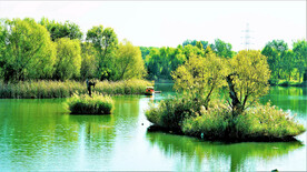 北京长沟湿地公园