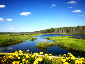 黑龙江伊春乌伊岭湿地公园
