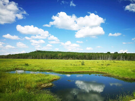 黑龙江伊春乌伊岭湿地公园
