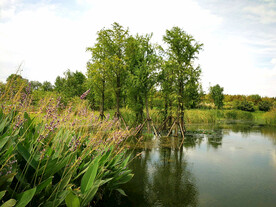 江苏无锡贡湖湾湿地公园