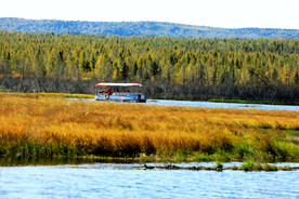 黑龙江伊春乌伊岭湿地公园