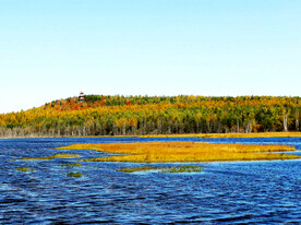 黑龙江伊春乌伊岭湿地公园