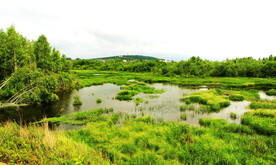 黑龙江伊春乌伊岭湿地公园