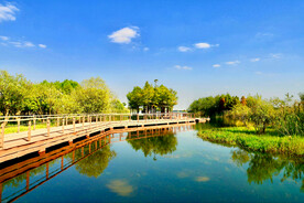 江苏无锡贡湖湾湿地公园