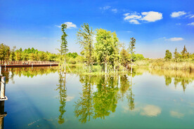 江苏无锡贡湖湾湿地公园