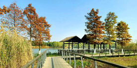 江苏无锡贡湖湾湿地公园