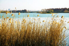 江苏无锡贡湖湾湿地公园