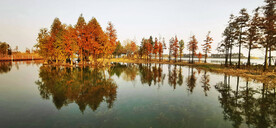 江苏无锡贡湖湾湿地公园