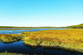 黑龙江伊春乌伊岭湿地公园
