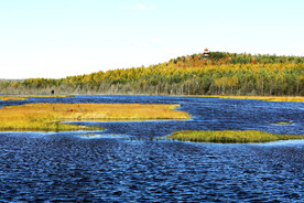 黑龙江伊春乌伊岭湿地公园