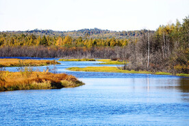 黑龙江伊春乌伊岭湿地公园