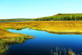 黑龙江伊春乌伊岭湿地公园