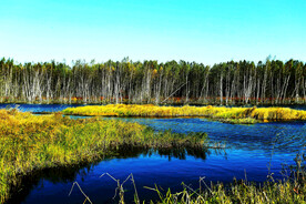 黑龙江伊春乌伊岭湿地公园