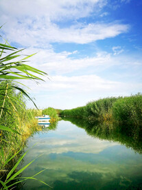 新疆博斯腾湖芦苇湿地