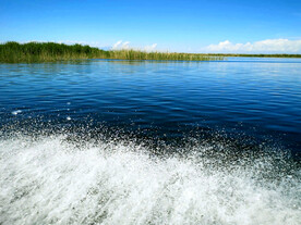 新疆博斯腾湖芦苇湿地