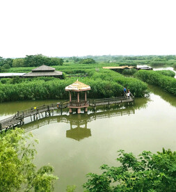 浙江下渚湖国家湿地公园