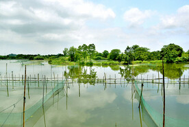 浙江下渚湖国家湿地公园