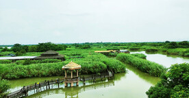 浙江下渚湖国家湿地公园