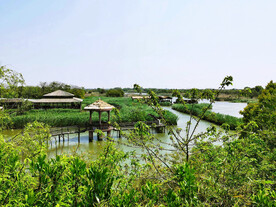 浙江下渚湖国家湿地公园