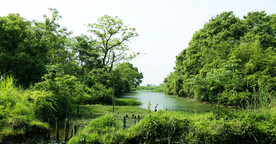 浙江下渚湖国家湿地公园