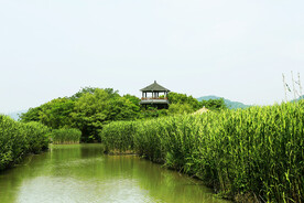 浙江下渚湖国家湿地公园