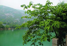 风景   水    树叶   