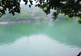 风景   水    树叶   