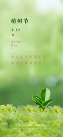 植树节
