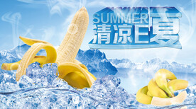 夏日素材冰镇香蕉