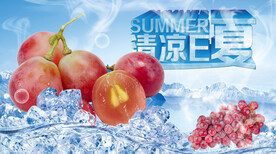 夏日素材冰镇红提