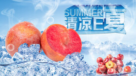 夏日素材冰镇红李子