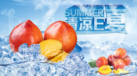 夏日素材冰镇油桃