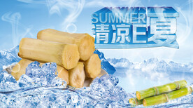 夏日素材冰镇黄甘蔗