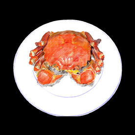 手绘清蒸大闸蟹