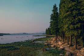 蠡湖  水面  倒影  清晨 