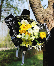 清明节 鲜花 花朵 拍摄 摄影