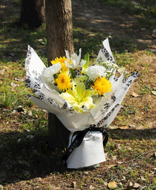 清明节 鲜花 花朵 拍摄 摄影