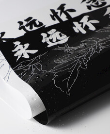 清明节 鲜花 花朵 拍摄 摄影