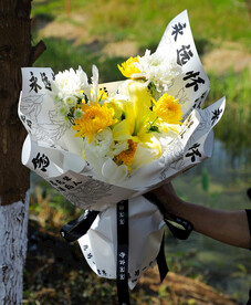 清明节 鲜花 花朵 拍摄 摄影
