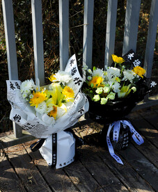 清明节 鲜花 花朵 拍摄 摄影