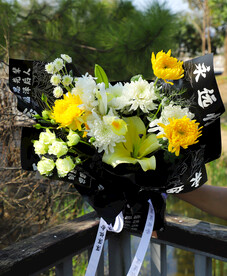 清明节 鲜花 花朵 拍摄 摄影