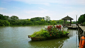 广州南沙湿地公园