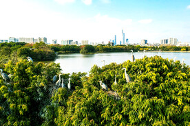 广州海珠国家湿地公园