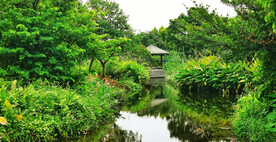 广州海珠国家湿地公园