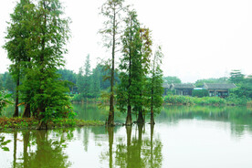 广州海珠国家湿地公园