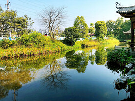 广州海珠国家湿地公园