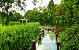 广州海珠国家湿地公园