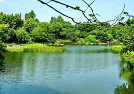 广州海珠国家湿地公园