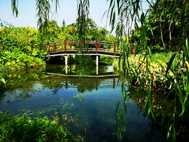 广州海珠国家湿地公园